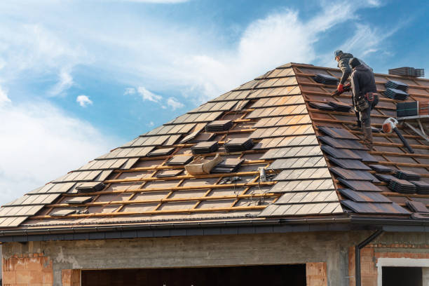 Best Asphalt Shingle Roofing  in Englewood, CO